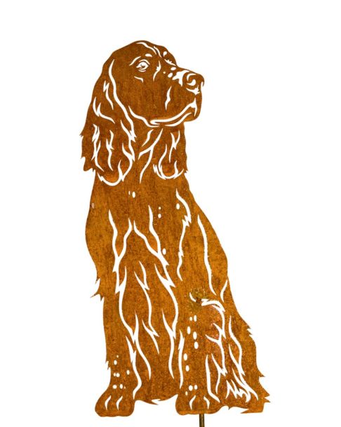 english springer spaniel