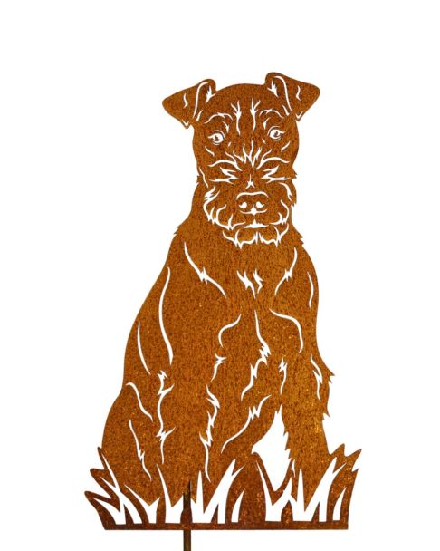 Welsh Terrier