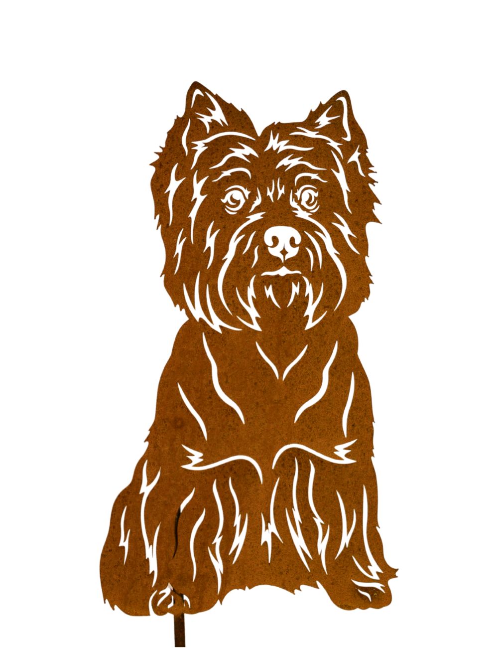 West Highland White Terrier