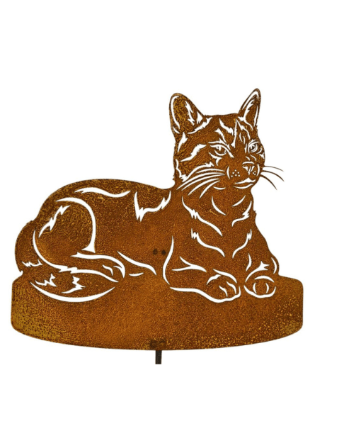 Katze