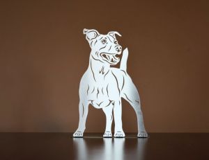 Jack Russell