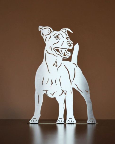 Jack Russell