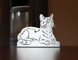 Katze