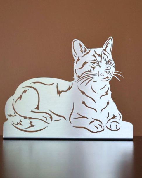 Katze