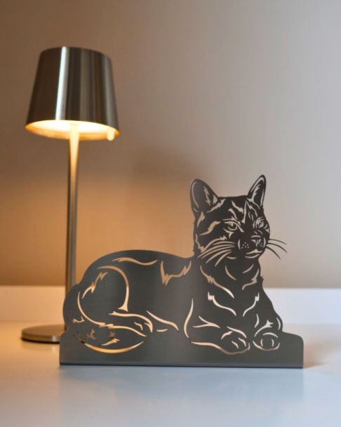 Katze